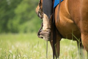 Cowgirl Boot in Stirrup